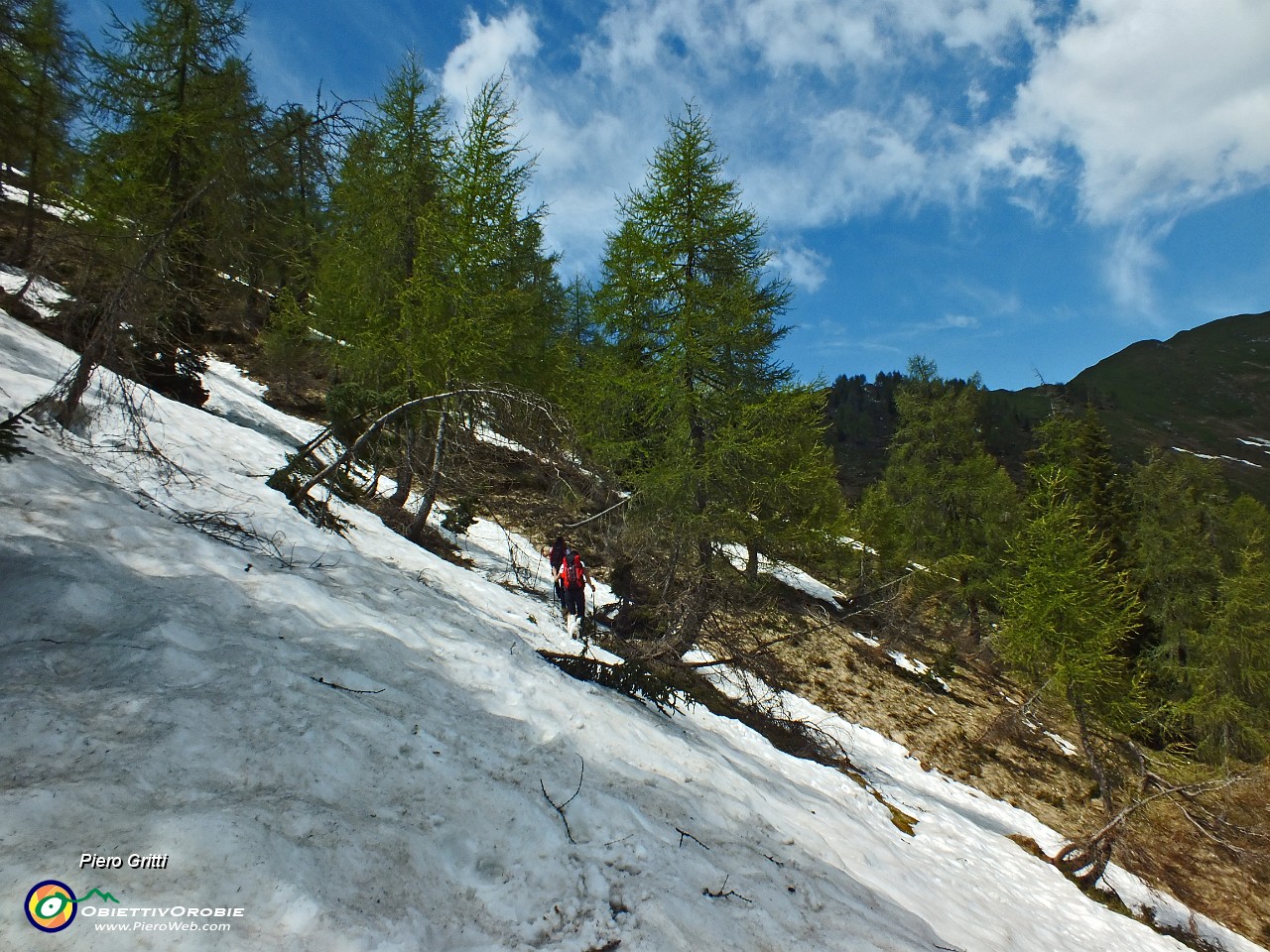 52  Dai 1800 m  sul versante nord ancora neve .JPG